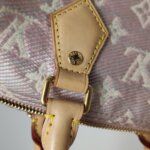 Louis Vuitton Speedy 20 — фото 17