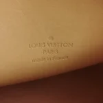 Louis Vuitton Speedy 20 (Луи Виттон) — фото 8