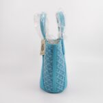 Goyard Belharra Y — фото 4