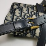 Dior Saddle Oblique — фото 11