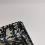 Dior Saddle Oblique — фото 15