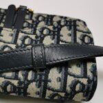 Dior Saddle Oblique — фото 21