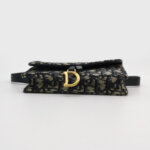 Dior Saddle Oblique — фото 6