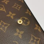Louis Vuitton Pochette Félicie Monogram… — фото 13