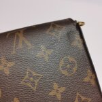 Louis Vuitton Pochette Félicie Monogram… — фото 18