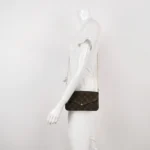 Louis Vuitton Pochette Félicie Monogram… (Луи Виттон) — фото 2
