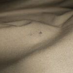 Miu Miu Logo Shoulder Bag — фото 10