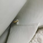 Bottega Veneta Doll Tote — фото 12