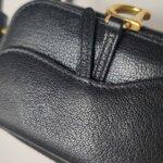 Dior Saddle — фото 19