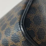 Celine Printed Calfskin Handbag (Селин) — фото 15