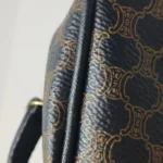 Celine Printed Calfskin Handbag (Селин) — фото 16