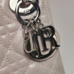 Dior Lady Dior Logo — фото 13