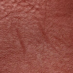 Celine Luggage — фото 23