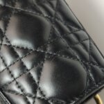 Dior Lady Dior Logo — фото 16