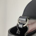 Celine Frame — фото 15