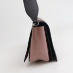 Celine Frame — фото 4