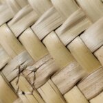 Chloe Sense — фото 13