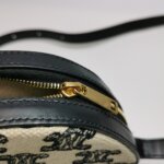 Celine Triomphe — фото 10