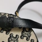 Celine Triomphe — фото 19