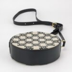 Celine Triomphe — фото 6