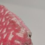 Burberry Lola TB — фото 17