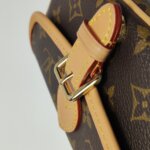 Louis Vuitton Diane Nano Monogram — фото 11