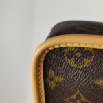 Louis Vuitton Diane Nano Monogram — фото 13