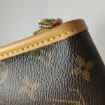 Louis Vuitton Diane Nano Monogram — фото 14