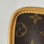 Louis Vuitton Diane Nano Monogram — фото 18