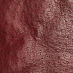 Prada Logo Handbag — фото 18