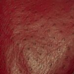 Prada Logo Handbag — фото 22