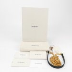 Saint Laurent Envelope VYSL — фото 9