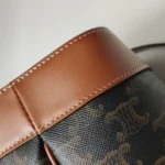 Celine Triomphe Canvas Logo (Селин) — фото 14