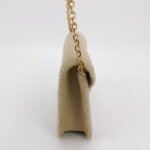 Celine Triomphe Logo — фото 4