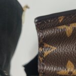 Louis Vuitton Tilsitt S-lock — фото 18