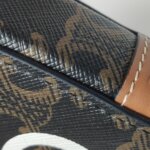 Celine Triomphe logo — фото 14