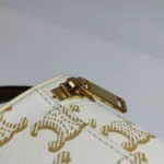 Celine Triomphe Canvas (Селин) — фото 12