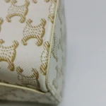 Celine Triomphe Canvas (Селин) — фото 17