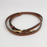 Celine Triomphe Canvas — фото 9