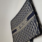 Dior Book Tote Oblique — фото 19