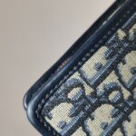 Dior 30 Montaigne Oblique CD — фото 16