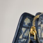 Dior 30 Montaigne Oblique CD — фото 17