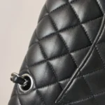 Chanel Classic Flap (Шанель) — фото 24