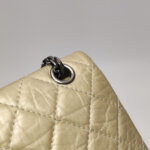 Chanel 2.55 Flag Bag — фото 13