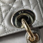 Dior Lady Dior Logo — фото 13