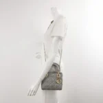 Dior Lady Dior Logo (Диор) — фото 2