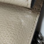 Gucci Dionysus GG — фото 11