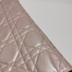 Dior Lady Dior Logo — фото 19