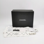 Chanel 2.55 Flag Bag V — фото 9