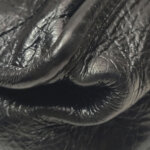 Saint Laurent Niki YSL — фото 19